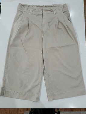 American Eagle Paper Bag Pants